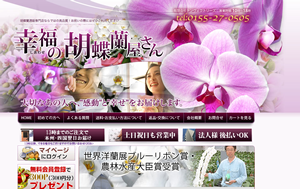 幸福の胡蝶蘭屋さん
